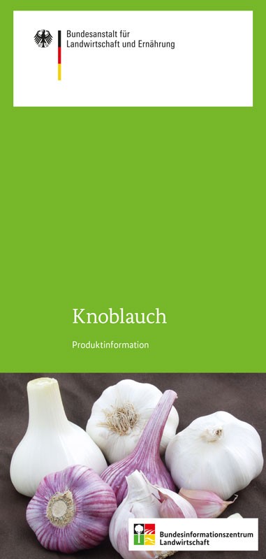 Knoblauch